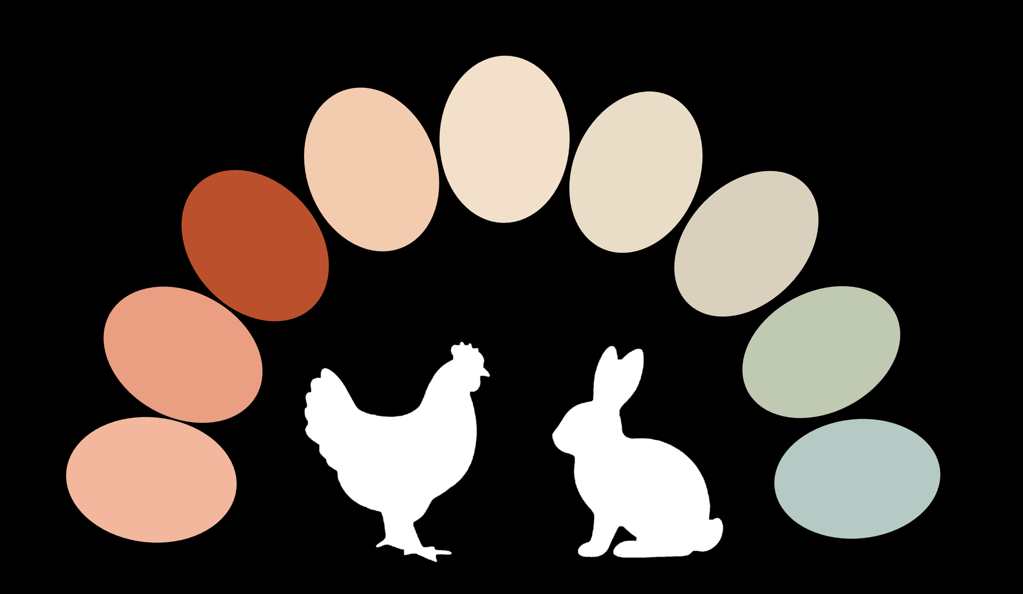 Rainbow Eggs Farm LLC - Registered ARBA/IAGARB member